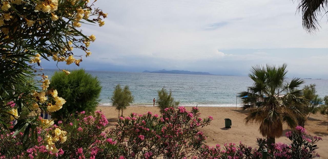 Perfect Beachfront Apartment 아테네 외부 사진